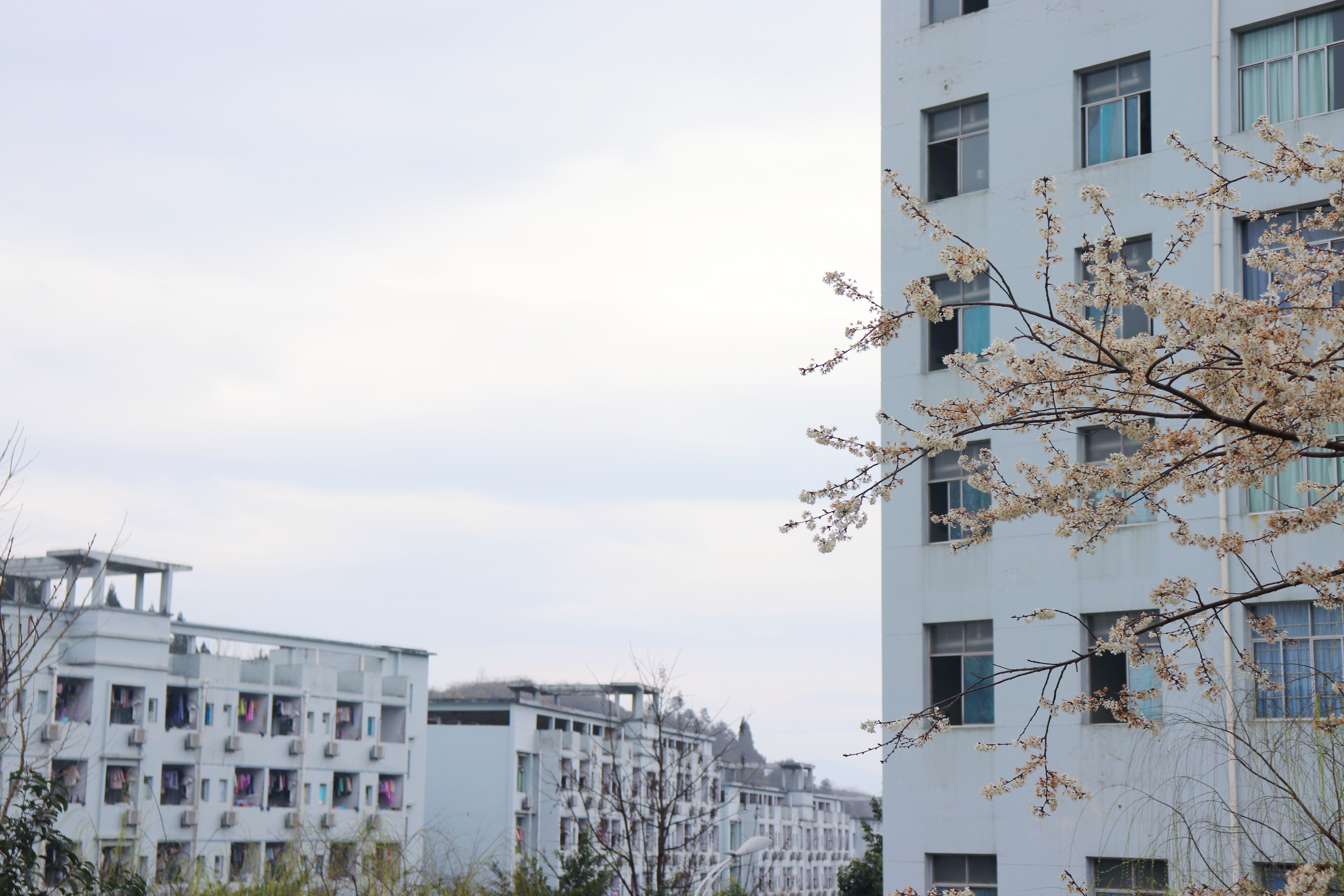 校园风光-重庆工贸职业技术学院