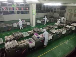 学院领导调研暑期带薪实习工作并看望实习学生